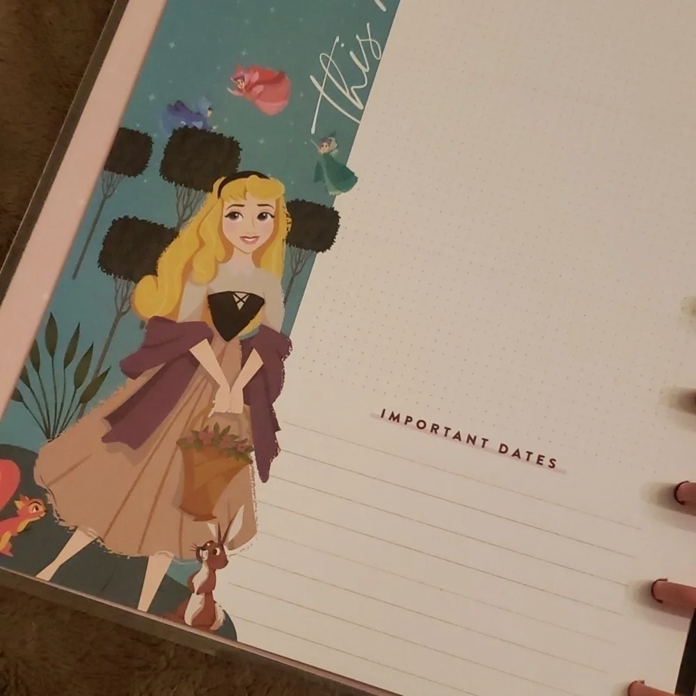 Disney Princess undated planner. New